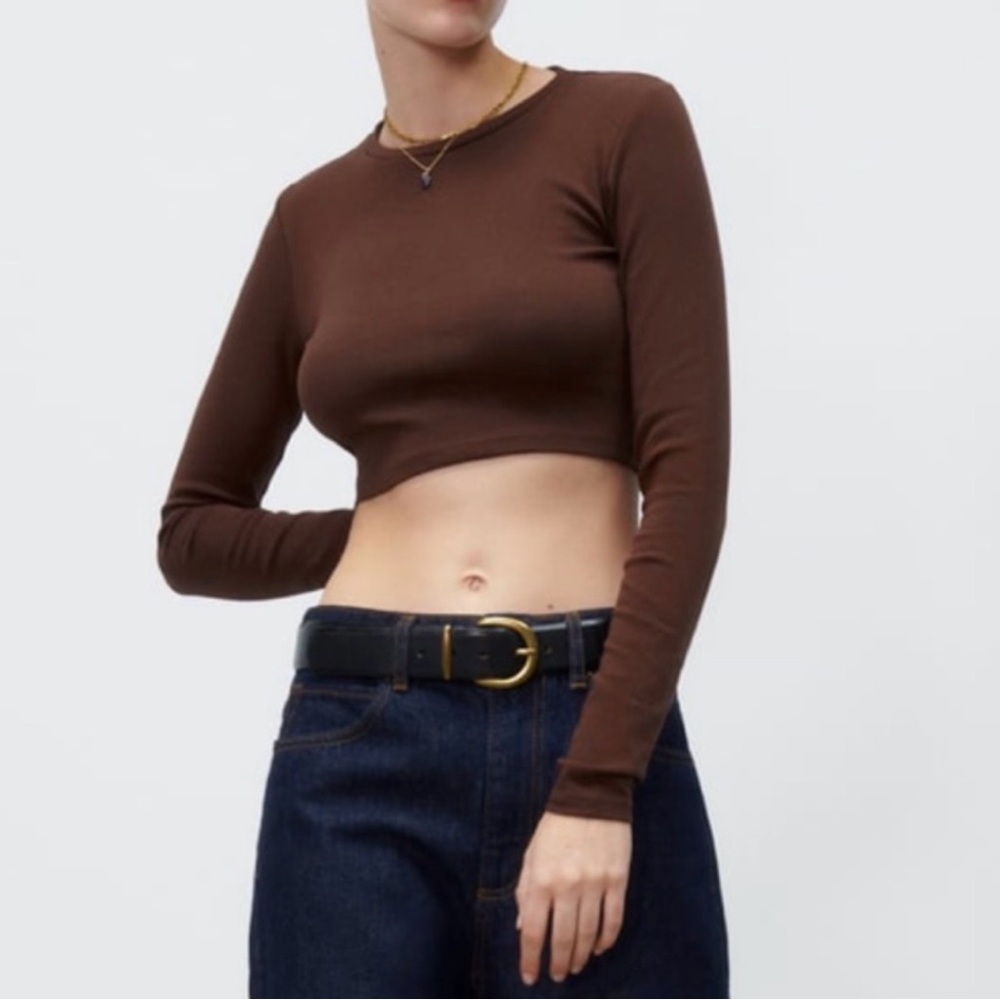 Zara Brown Long Sleeve Crop Top